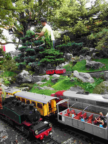 jardin de trains 882c3