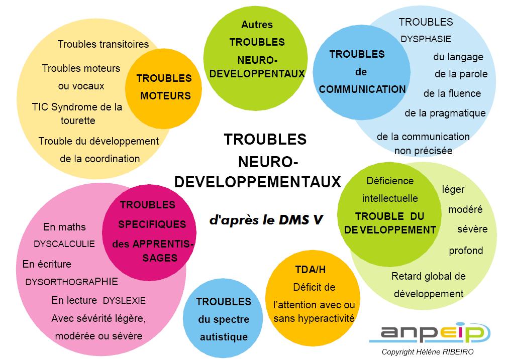 Troubles neuro-développementaux selon le DMS V