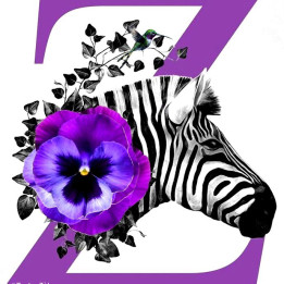 logo toulouzebre